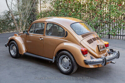 Volkswagen-Beetle-Classic-1976-6