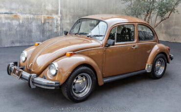 Volkswagen-Beetle-Classic-1976-7