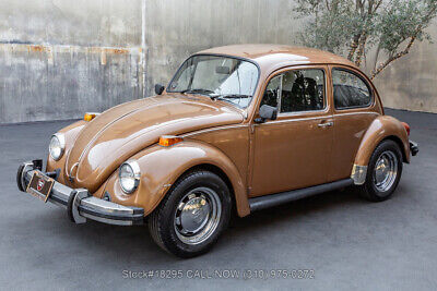 Volkswagen-Beetle-Classic-1976-7