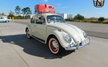 Volkswagen-Beetle-Classic-Berline-1966-White-Red-113964-6