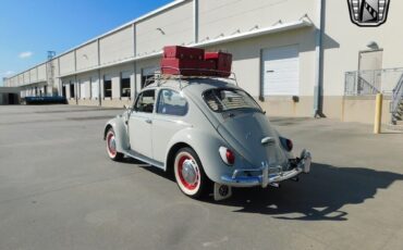 Volkswagen-Beetle-Classic-Berline-1966-White-Red-113964-9