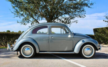 Volkswagen-Beetle-Classic-Cabriolet-1954-Gray-Gray-15435-1