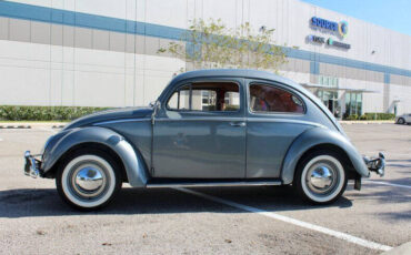 Volkswagen-Beetle-Classic-Cabriolet-1954-Gray-Gray-15435-8