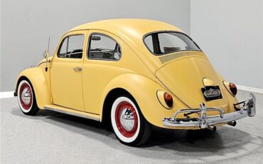 Volkswagen-Beetle-Classic-Coupe-1964-3