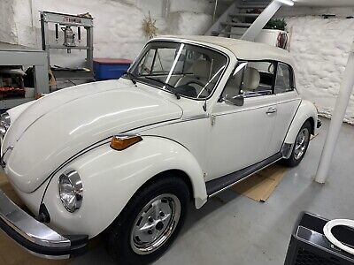 Volkswagen-Beetle-Pre-1980-1979-1