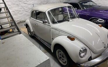 Volkswagen-Beetle-Pre-1980-1979-3