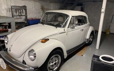 Volkswagen-Beetle-Pre-1980-1979-4