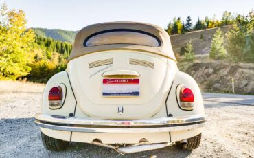 Volkswagen-Beetle-convertible-1968-yellow-13029-3