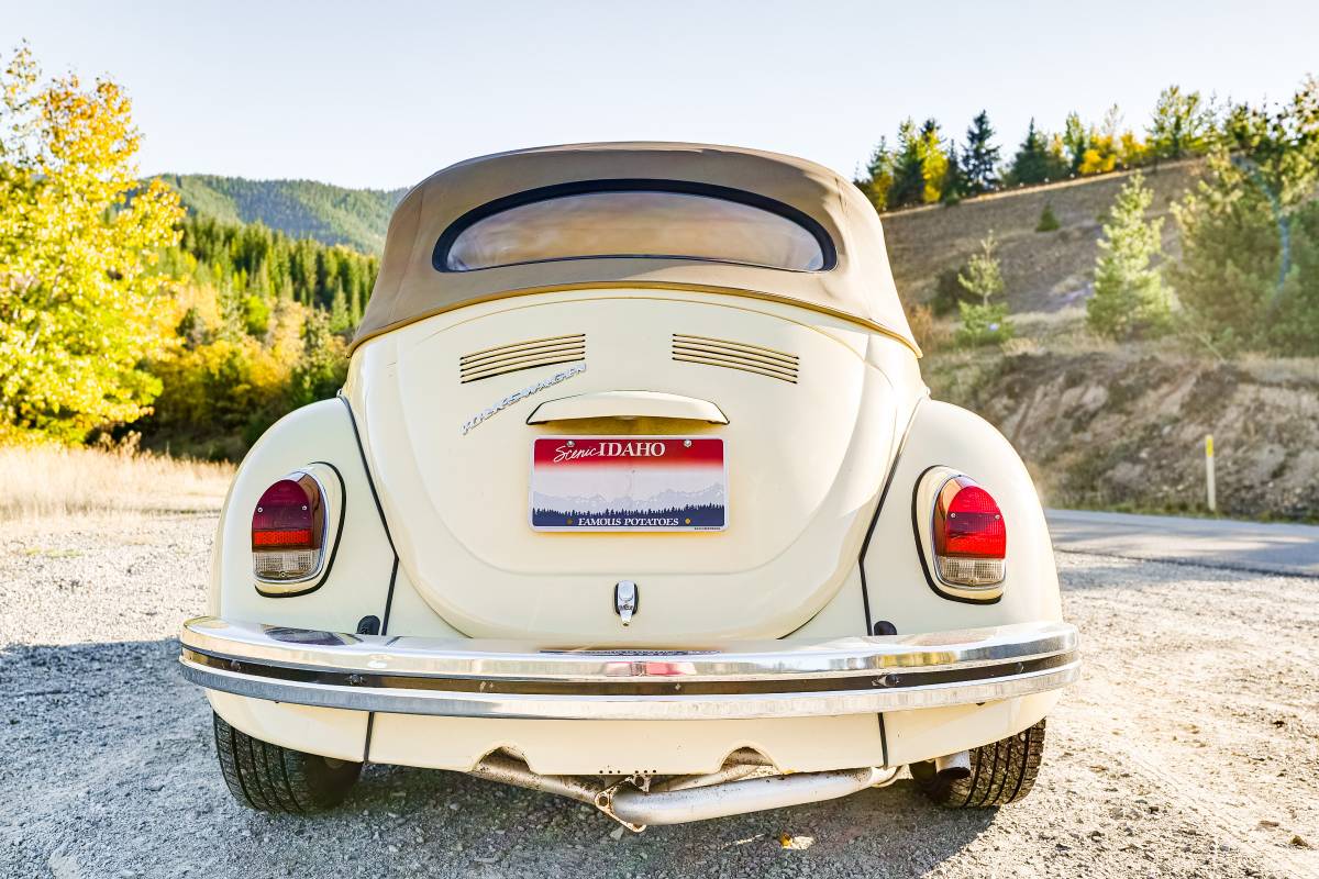 Volkswagen-Beetle-convertible-1968-yellow-13029-3