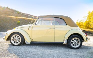 Volkswagen-Beetle-convertible-1968-yellow-13029-4