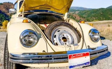 Volkswagen-Beetle-convertible-1968-yellow-13029-5