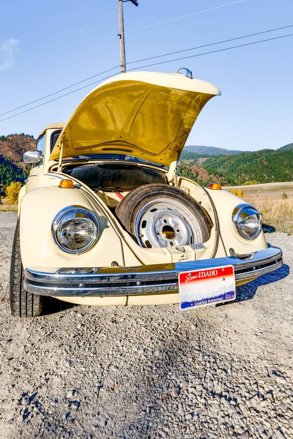 Volkswagen-Beetle-convertible-1968-yellow-13029-5