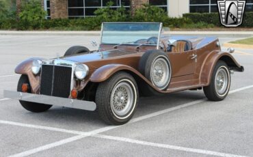 Volkswagen-Bremen-1970-Brown-Brown-44532-3