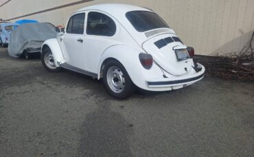 Volkswagen-Bug-1972-white-127138-1