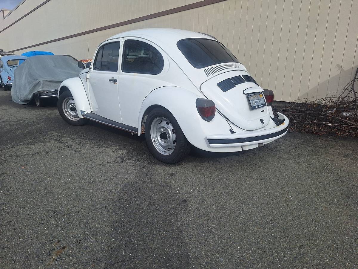 Volkswagen-Bug-1972-white-127138-1