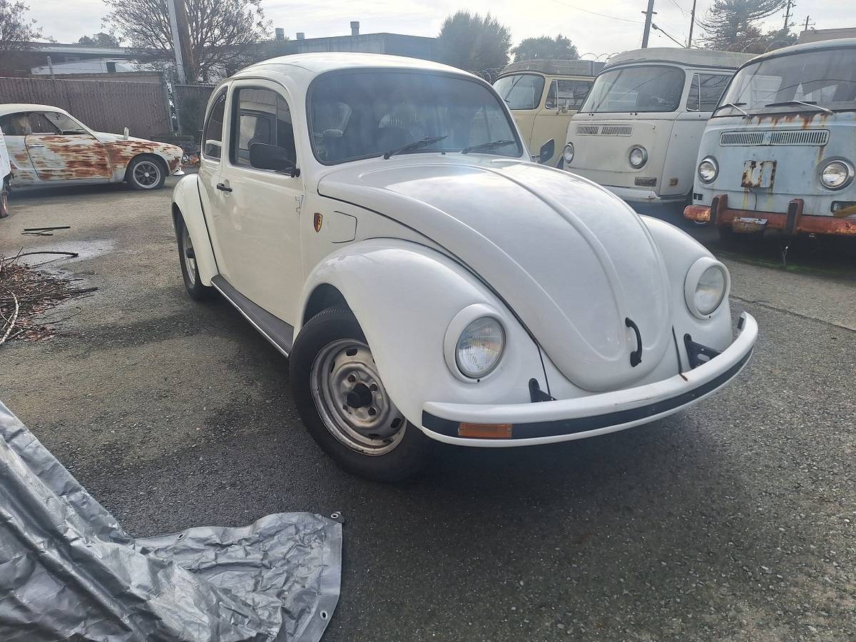 Volkswagen-Bug-1972-white-127138-3