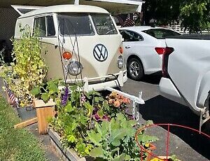 Volkswagen Microbus 1969