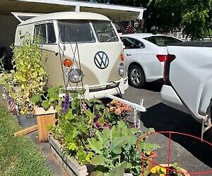 Volkswagen Microbus  1969 à vendre