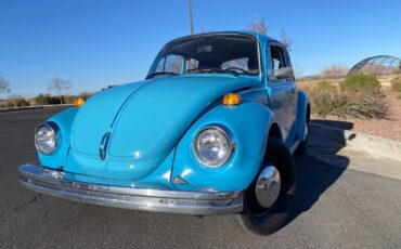 Volkswagen-Super-beetle-1974-1