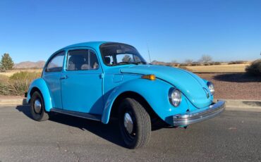 Volkswagen-Super-beetle-1974