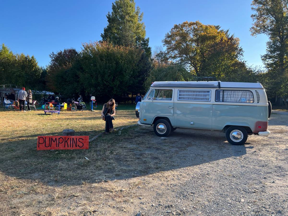 Volkswagen-T2-1971-16093-3