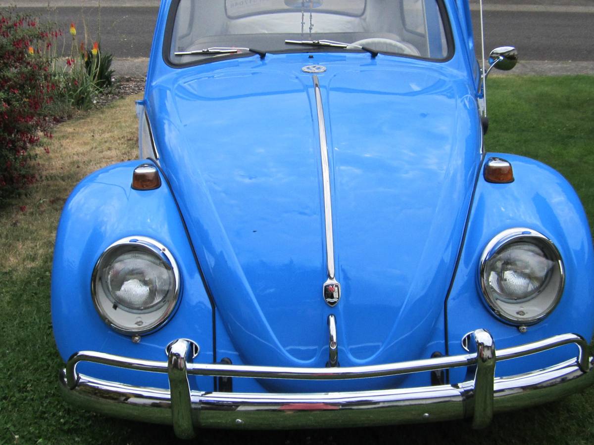 Volkswagen-Vw-beetle-1964-13