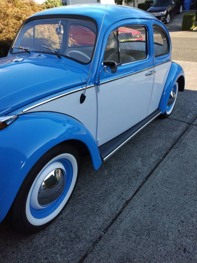 Volkswagen-Vw-beetle-1964-16