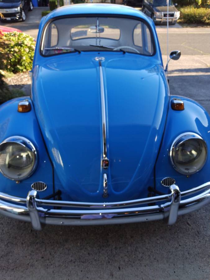 Volkswagen-Vw-beetle-1964-17