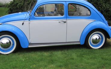 Volkswagen-Vw-beetle-1964-23