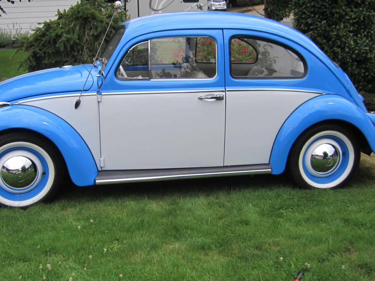 Volkswagen-Vw-beetle-1964-23