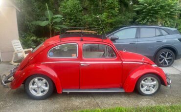 Volkswagen-Vw-beetle-1964-3