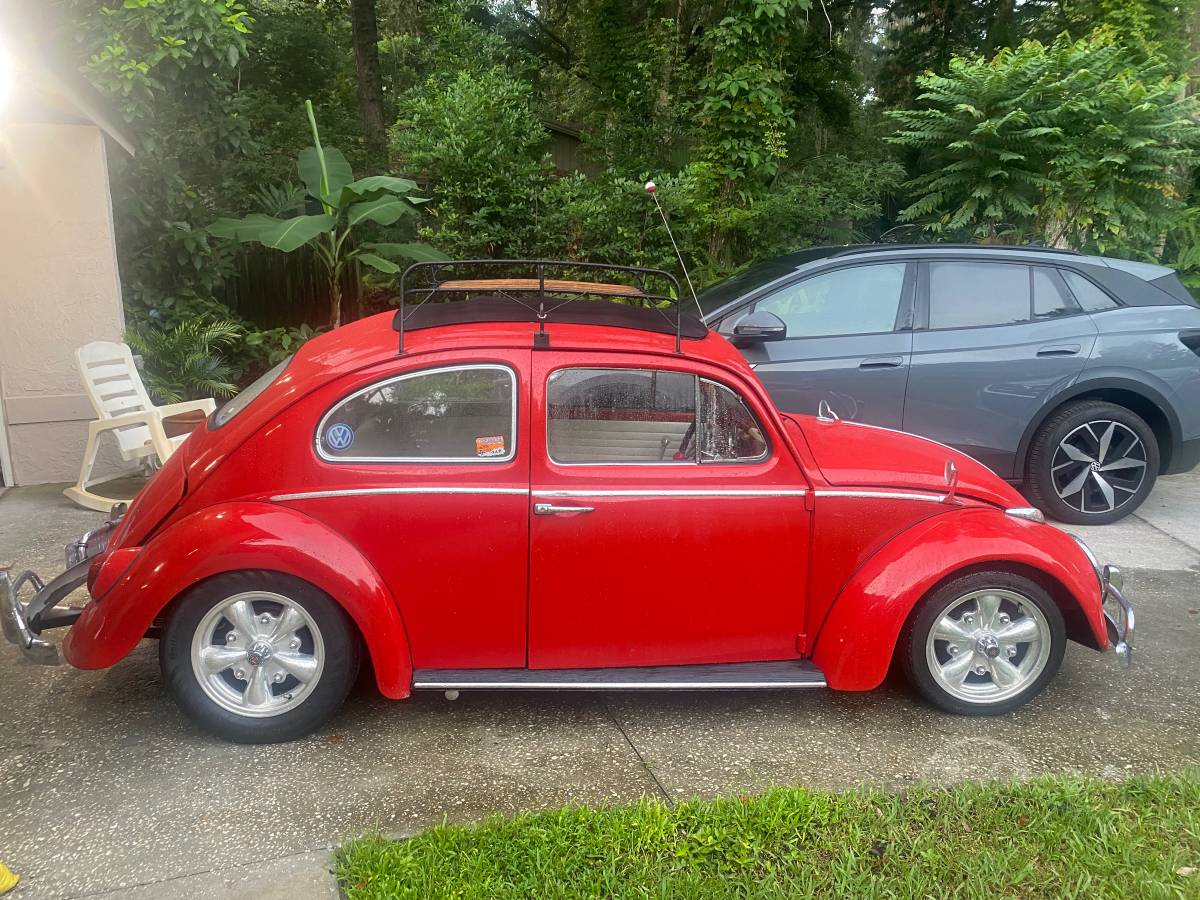 Volkswagen-Vw-beetle-1964-3