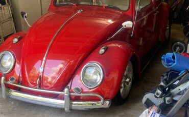 Volkswagen-Vw-beetle-1964-4