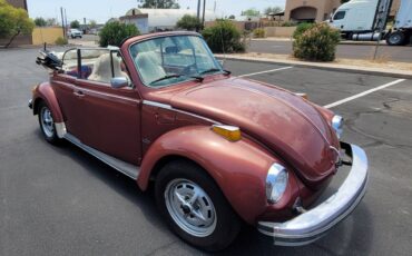 Volkswagen-Vw-beetle-convertible-1978-5