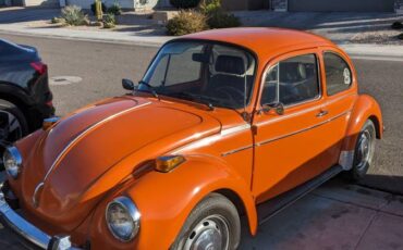 Volkswagen-Vw-bug-1973-268760-1