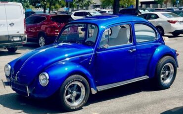 Volkswagen-Vw-super-beetle-1971-blue-1772