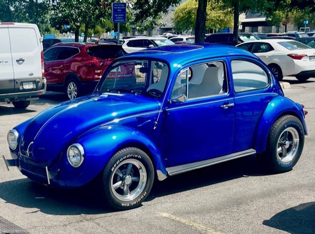 Volkswagen-Vw-super-beetle-1971-blue-1772