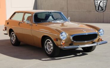 Volvo-P1800-1973-5