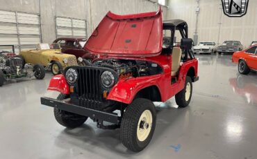 Willys-CJ5-Cabriolet-1959-8