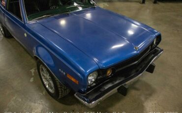 AMC-Hornet-1974-Blue-Black-121372-10