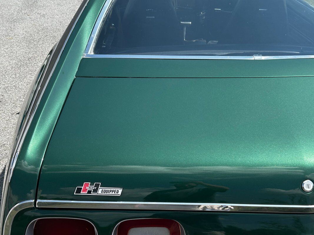 AMC-Javelin-Coupe-1973-Green-Black-0-34