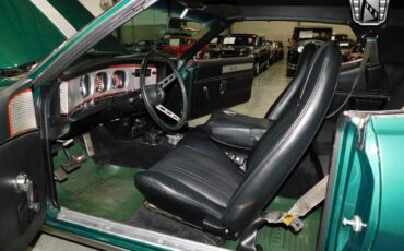 AMC-Javelin-Coupe-1974-Green-Black-113934-6