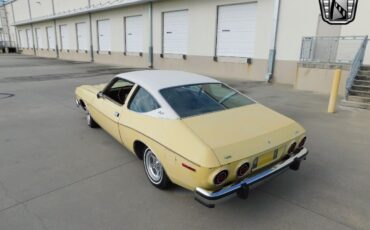 AMC-Matador-1976-Yellow-Brown-24874-9