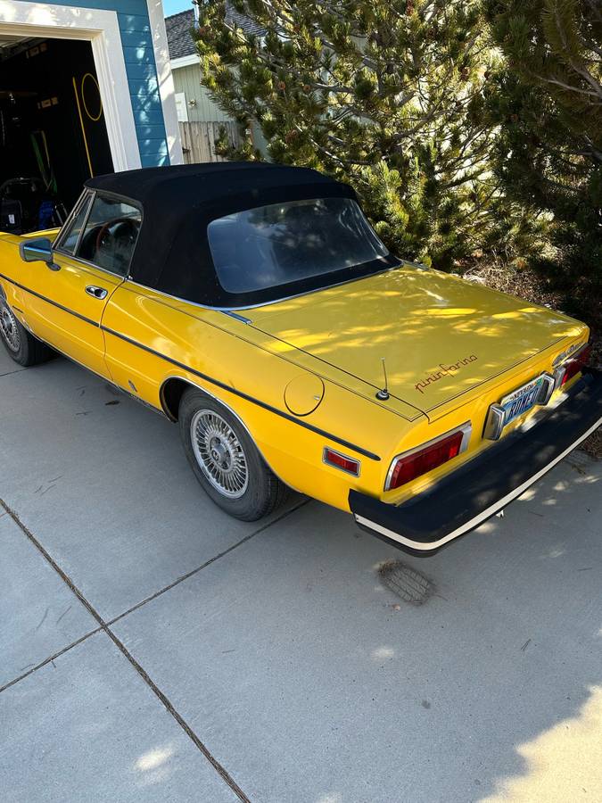 Alfa-romeo-Spider-1979-yellow-54940-2