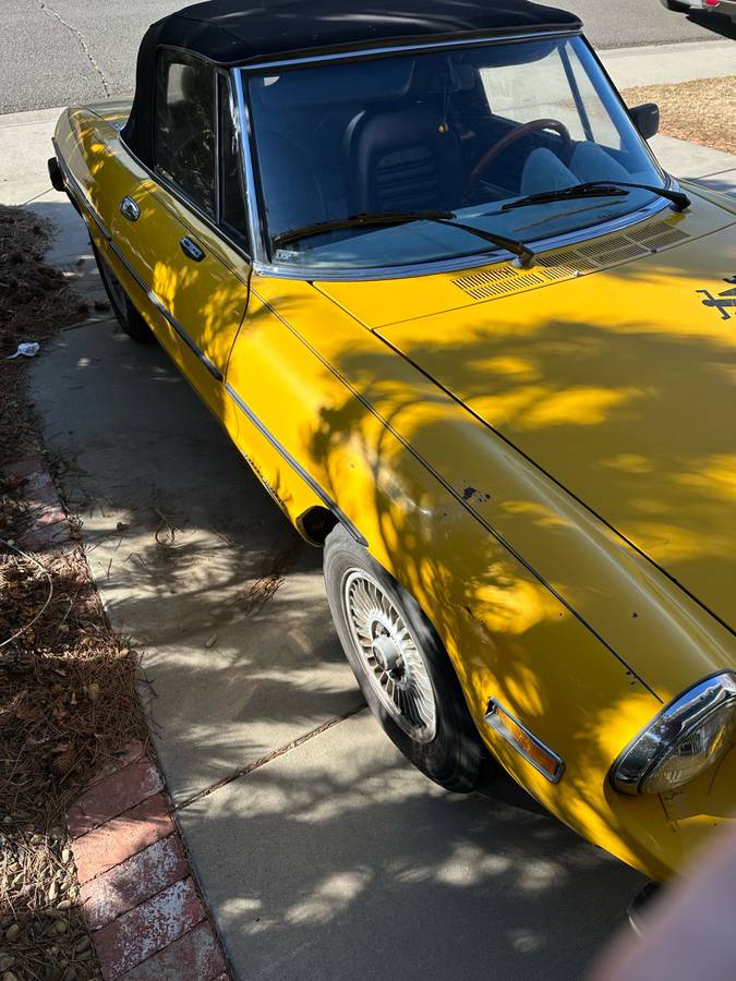 Alfa-romeo-Spider-1979-yellow-54940-4