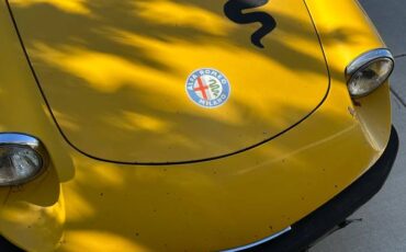 Alfa-romeo-Spider-1979-yellow-54940-5