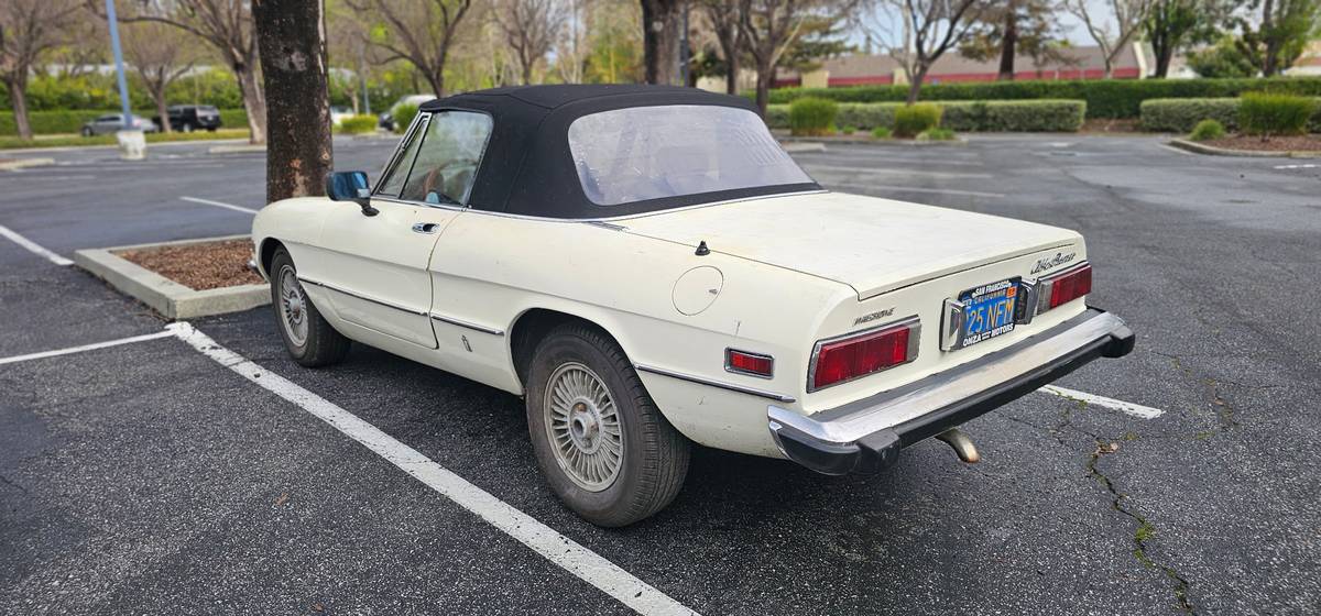 Alfa-romeo-Spider-veloce-1974-119091-5