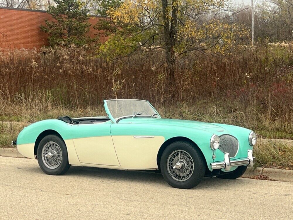 Austin-Healey-100-4-BN2-1956-Green-Black-0-1