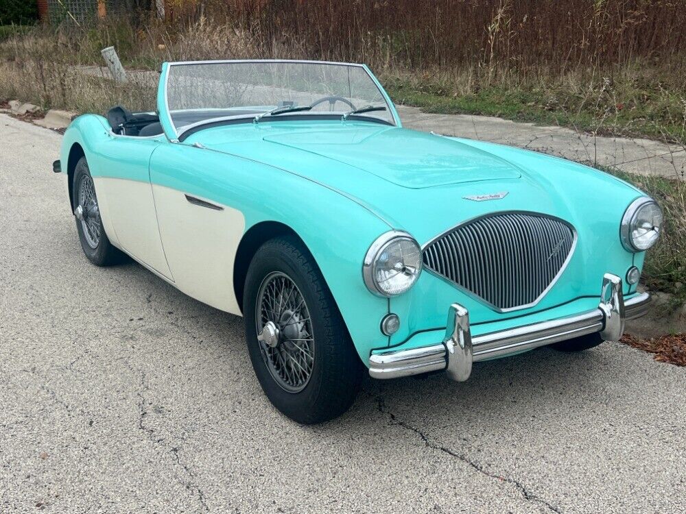 Austin-Healey 100-4 BN2  1956 à vendre