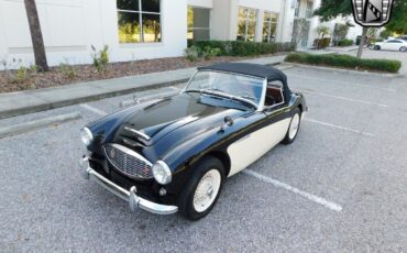 Austin-Healey-3000-1960-Black-Black-19302-10